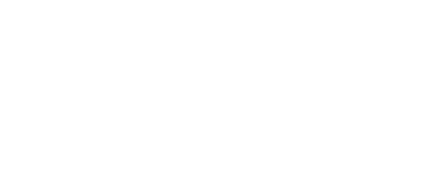 Merit 01