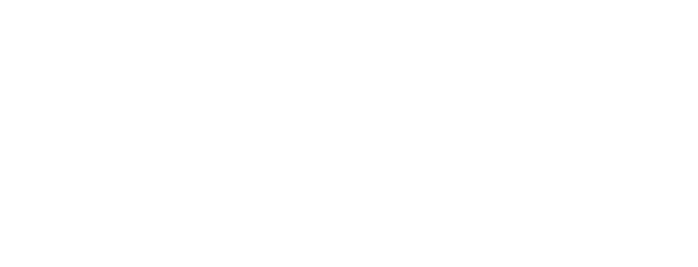 Merit 02