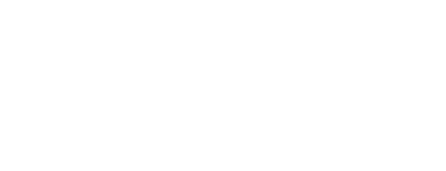 Merit 03